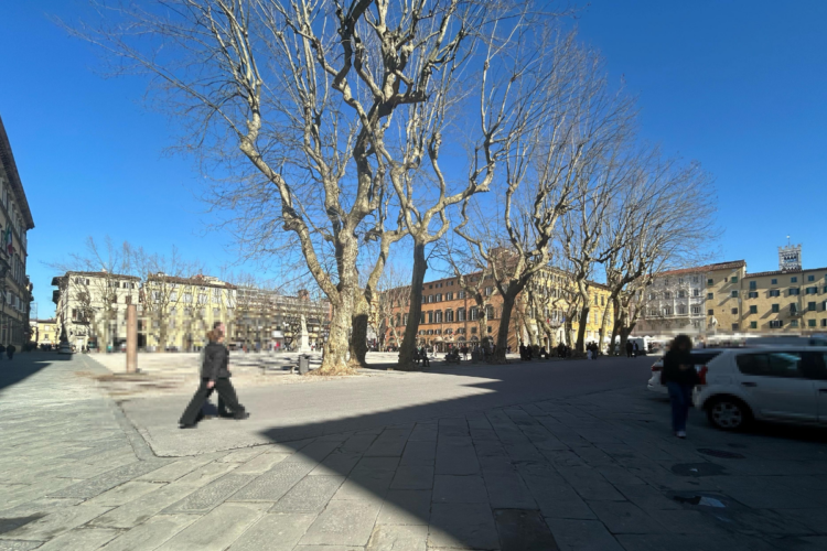 Alla scoperta di Piazza Napoleone: il salotto elegante di Lucca